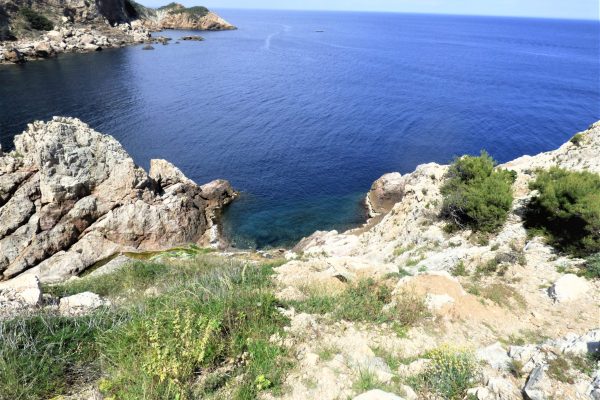 Vue de la terrasse (100m2) de la piscine de la résidence ; -crique à 100m (accès difficile). -zone "Cap Begur" (pointe de Begur), la plus prestigieuse & profonde de Begur. -excellent site de plongée sous-marine, pêche à la ligne, canoë & kayak.