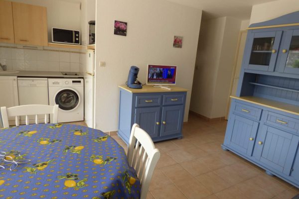 Espace de vie (15,4m2) ; -baie vitrée avec verre anti-effraction avec accès terrasse-jardin (60m2). -canapé-lit type clic clac en 140x190. -living room. -commode. -TV HD avec chaînes numériques. -coin repas. -cuisine ouverte.