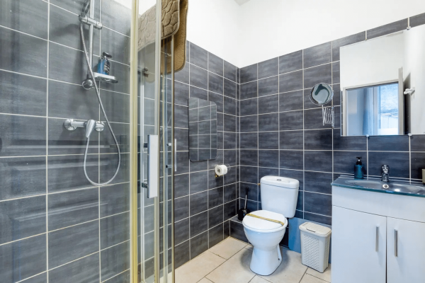 Salle d'eau 1